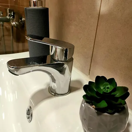 Trajkovic One Bedroom