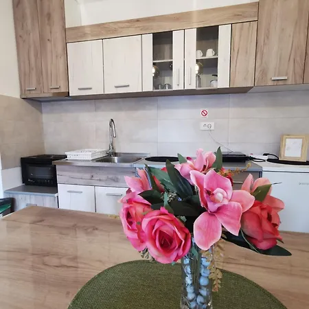 Trajkovic One Bedroom * 소코 반자