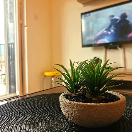 Trajkovic One Bedroom 소코 반자