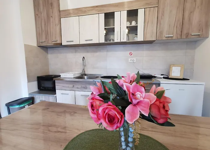 Trajkovic One Bedroom * Sokobanja