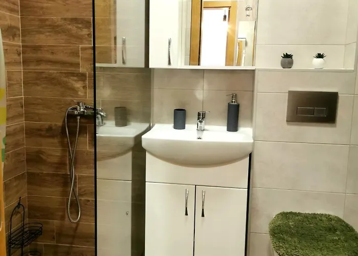 Appartement Trajkovic One Bedroom