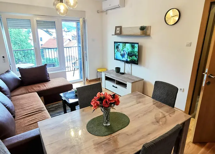 Appartement Trajkovic One Bedroom Sokobanja